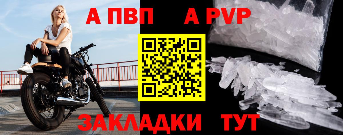 A PVP СК КРИС Саранск