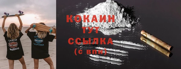 винт Лагань