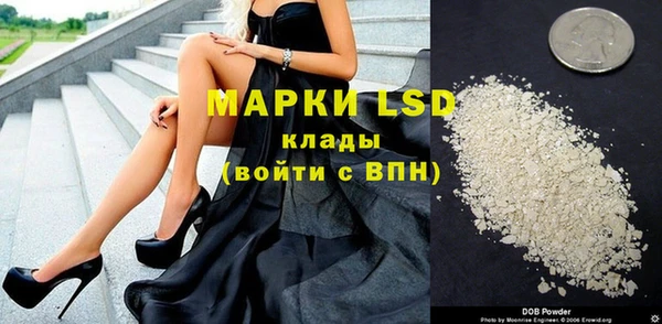 винт Лагань