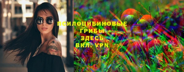 мдпв Липки