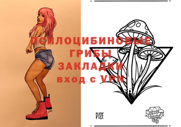 амф Ладушкин