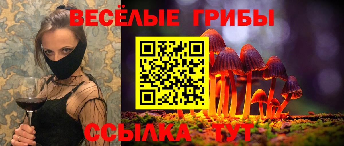 где найти наркотики  Галлюциногенные грибы ЛСД  Вход с VPN  Саранск 