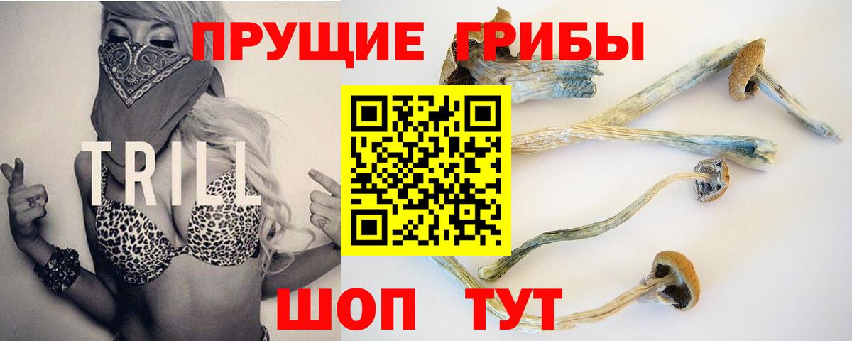 Галлюциногенные грибы мицелий Саранск